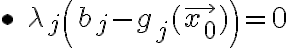 $\bullet\;\lambda_j\left( b_j - g_j(\vec{x_0}) \right) = 0$